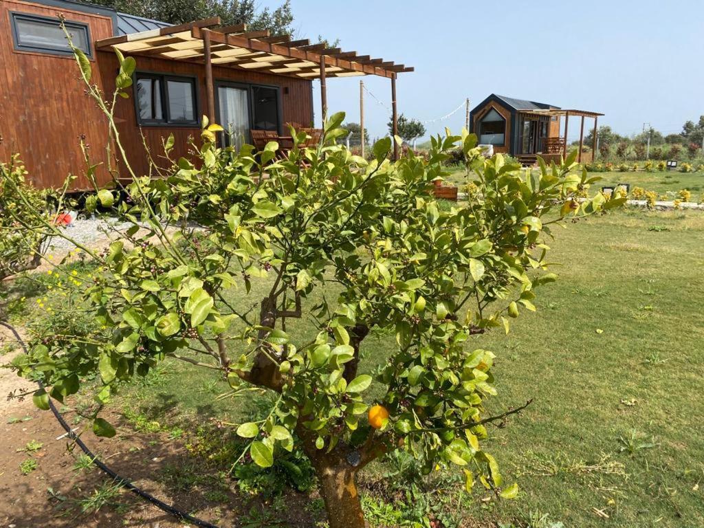 Radika Datca Kızlanköy Esterno foto